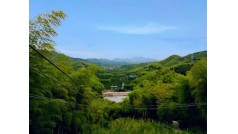 【众智体验二日】莫干山深度团建游徒步拓展团建